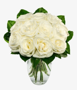 White Roses #3102252