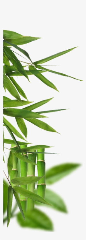 The Go Towel - Queen Cool Gel Memory Foam Mattress Topper Underlay #3105087