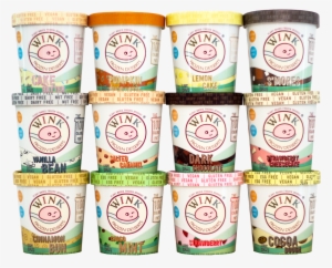 100 Calorie Pack - Wink Frozen Desserts, Vanilla Bean - 1 Pint #3106049