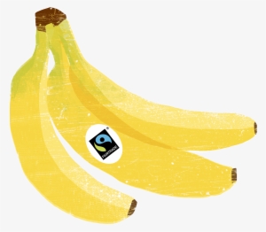Bananas - Fair Trade #3106291