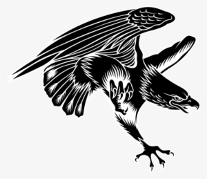 Black Hawk Bird Tattoo #3106353