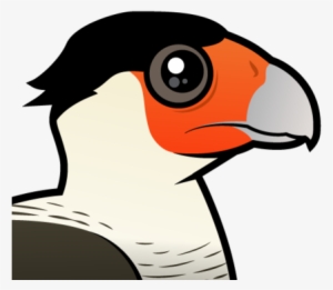 Also Known As - Caracara #3106444 Also Known As - Caracara #3106444