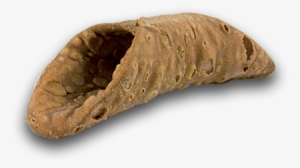 Cannoli En - Cannoli #3107336