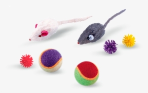 Toys For Cats - Nobby Felt Tennis Ball With Rattle, Pack #3107547 Toys For Cats - Nobby Felt Tennis Ball With Rattle, Pack #3107547