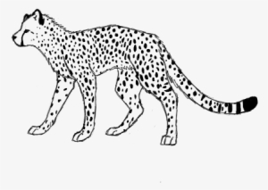 Cheetah Lineart By Theamazingchair - Cheetah Line Art #3107962
