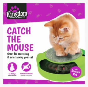 Catch The Mouse Cat Toy - Cat Toys #3108073