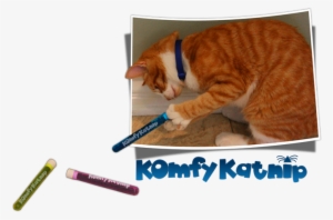 Cat #3108096