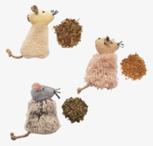 Catnip-alternative Sampler - Tatarian Honeysuckle #3108118