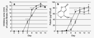 Antifungal Activity - Diagram #3108162
