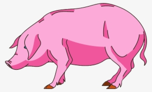 Pig Bd7 Animated - Wiki #3108423