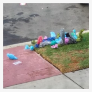 Dog Poop Is Not Recyclable - Dog #3108541