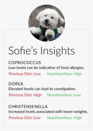 Review The Results And Implement In Your Pet's Plan - Implementation #3109023