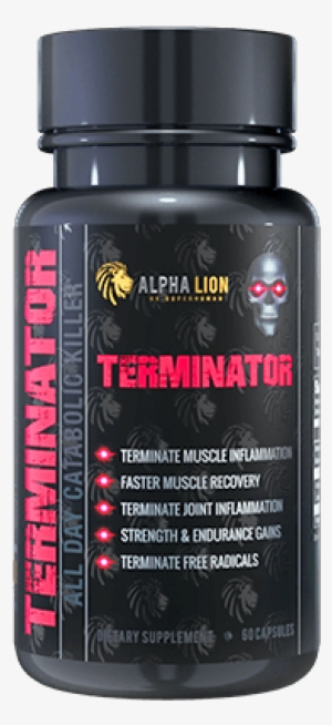 Terminator - The Terminator #3109736