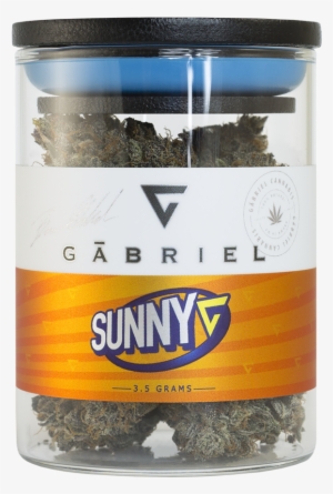Our Strains - Gabriel Orange Bubble Gum #3110106