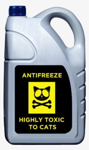 Dogs And Children Are Said To Be Attracted By Ethylene - Antifreeze Bottle #3111783