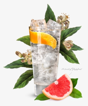 Portobello Road Gin & Tonic - Gin And Tonic Png #3113264