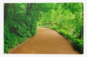 Electromagnetic Coil #3113268