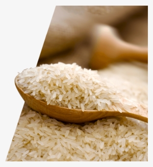 Short Grain White Rice - White Rice In Packet #3113371