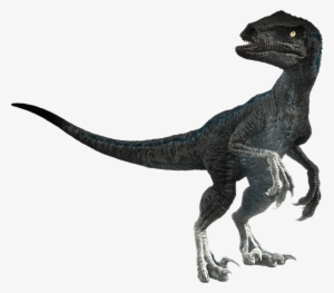 The Kaiju Brony Official Jurassic World Fallen Kingdom - Jurassic World Fallen Kingdom Dinosaurs Png #3113567