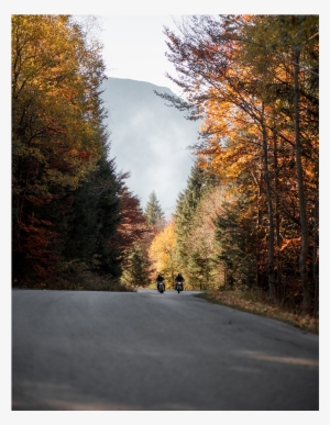 Gallery-image - Street #3113735