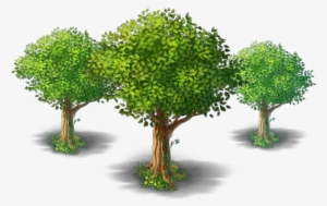 Root Pruning Services - California #3114381