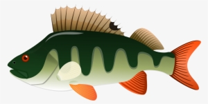 Jumping Fish Png Download - Perch Png #3115525