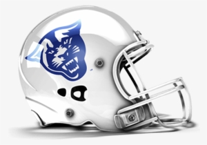 Panthers Helmet - Arizona Wranglers #3115733