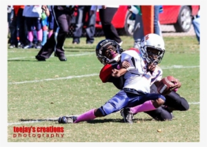 No Yards On The Run - Yard #3116153