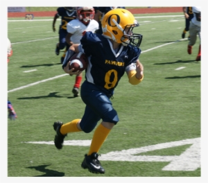 O'fallon Little Panther Spirit Wear - Sprint Football #3116354