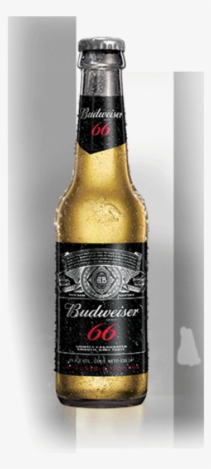 Bottle - Beer Bottle #3117105