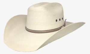 Rdr Palm Hat - Hat #3117463