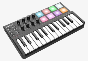 Worlde Midi Keyboard Arranger Keyboard Electronic Music - Worlde Panda Mini #3117707