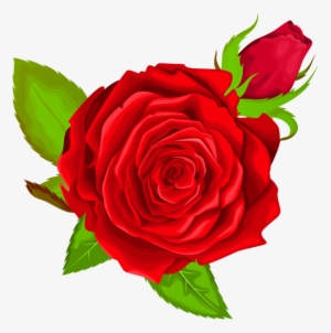 Red Rose Decorative Png Clip Art Image - Portable Network Graphics #3118974