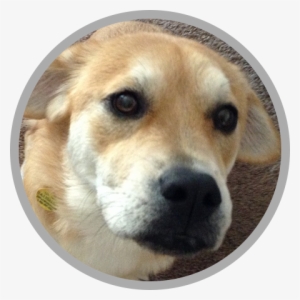 Anabelle - Annabelle #3119637