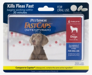 Petarmor Fastcaps Oral Flea Tablets For Medium And - Petarmor Fastcaps Review #3119686