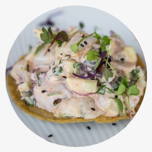 Camaron - Tostadas North Park #3119751