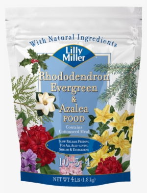 Lilly Miller Rhododendron Evergreen & Azalea Food Plant - Lilly Miller Lilly Miller Morcrop Vegetable Food #3120031
