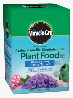 Miracle Gro Water Soluble Azalea, Camellia, Rhododendron - Miracle Gro Rose Food #3120147