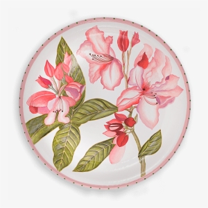 Tol-26 Rhododendron - Rhododendron #3120290