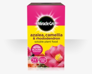 More Views - Azelea Camellia Rhododendron Plant Food #3120349