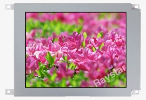 7 Tft Lvds Interface Display Module - Led-backlit Lcd Display #3120606