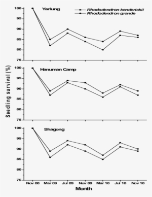 Seedlings Survival Of The Two Rhododendron Species - Diagram #3120633