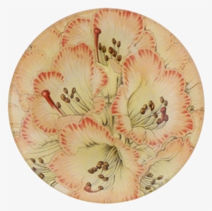 Rhododendron Cinnamomeo Rhododendron Cinnamomeo - Rhododendron #3120708