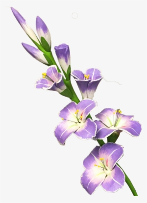Gladiolus Png Transparent Picture - Гладиолус Png #3121716