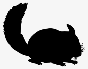 Chinchilla Mammal Animal Silhouette Vector - Chinchilla Icon #3122009