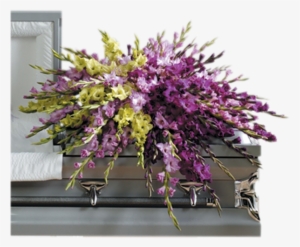 Gladiolus Casket Cover - Ctt81 11 #3122032