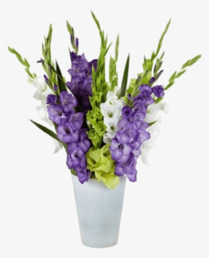 Gladiolus Composition In Vase - Gladiolus Plant Bulbs By Bloomsz - Gladiolus Gemstones #3122054