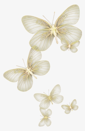 Butterfly Wing Moth Fly Sky Yellow Glitter Wind Flying - Butterfly #3122318