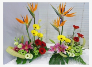 Oa102-1024x749 - Bouquet #3122450