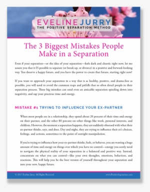 3mistakes Report Shadow #3122552